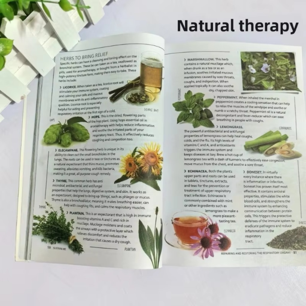 Sustain Me Barbara O'Neill A H - đánh giá và giá Holistic Health & Wellness