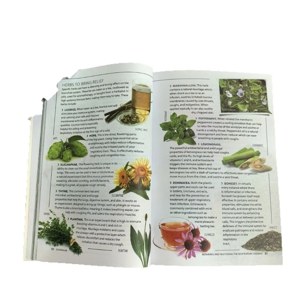 Sustain Me English Paperback B - đánh giá và giá Holistic Health & Wellness