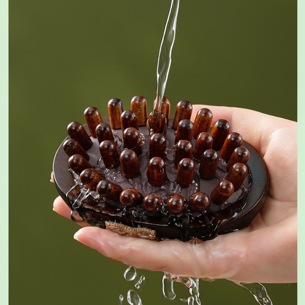 Manual Meridian Massage Brush  - đánh giá và giá Holistic Health & Wellness