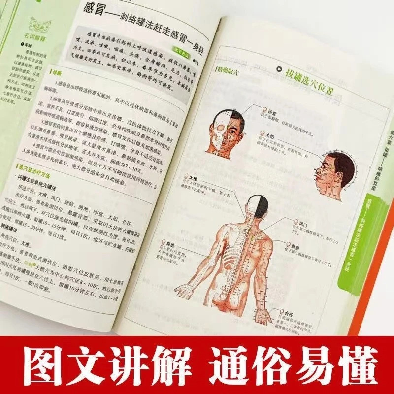 Holistic Health & Wellness Ser - đánh giá và giá Holistic Health & Wellness