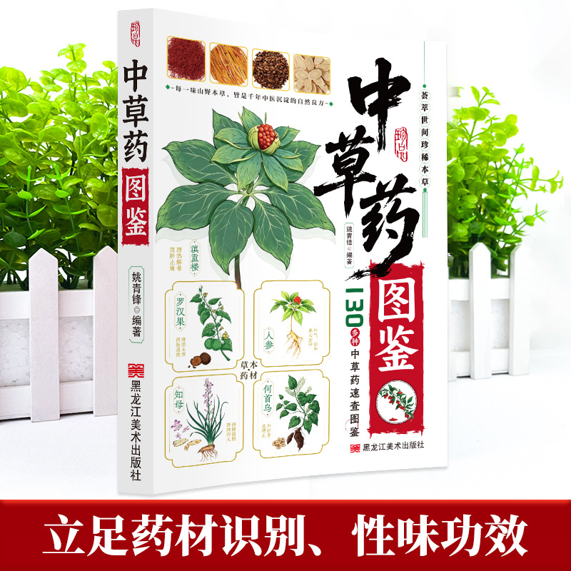 Illustrated Guide  Chinese Her - đánh giá và giá Holistic Health & Wellness