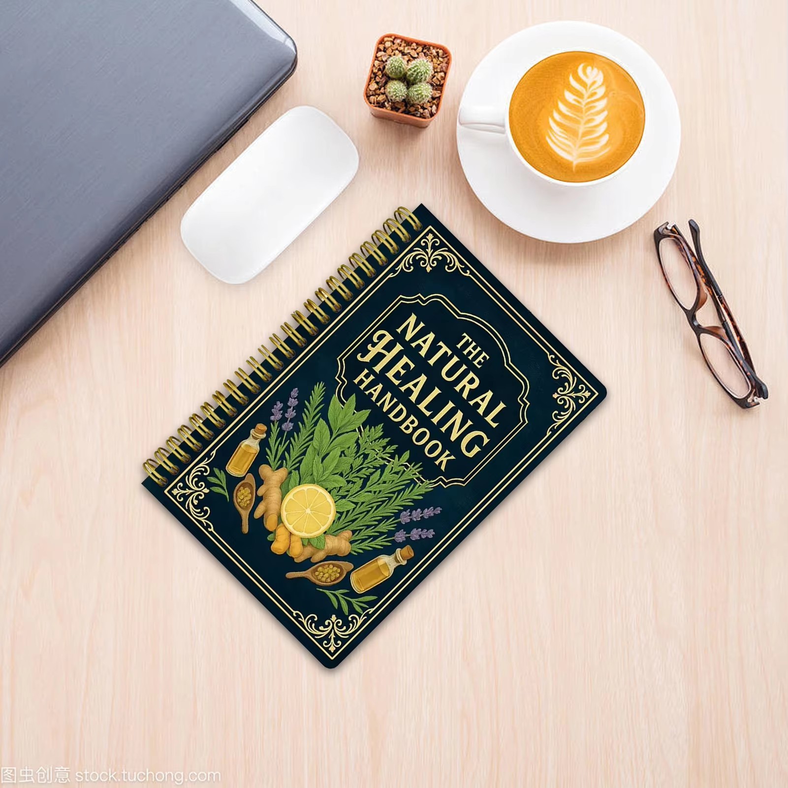 Natural Healing Handbook By Lu - đánh giá và giá Holistic Health & Wellness
