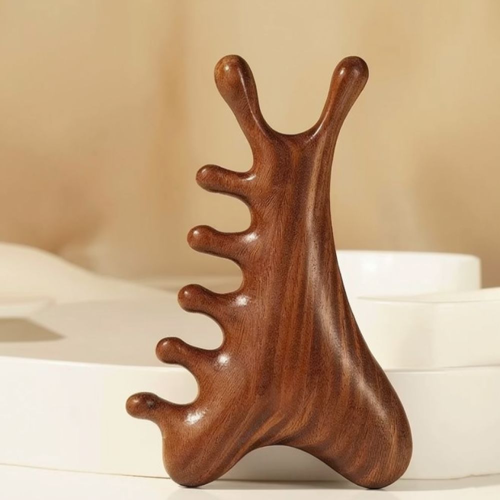 Portable Scalp Massage Comb Me - đánh giá và giá Health Wellness Spa